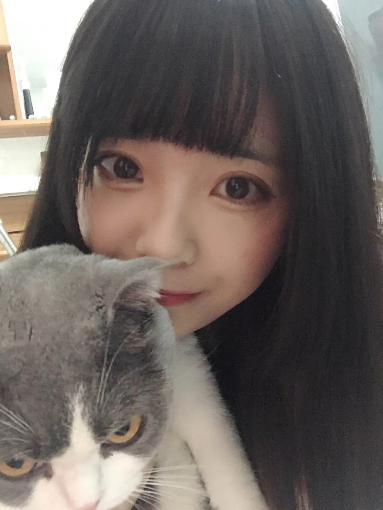 小野妹子w – 全套48期,大小10.4G 小野妹子w – 全套48期,大小10.4G